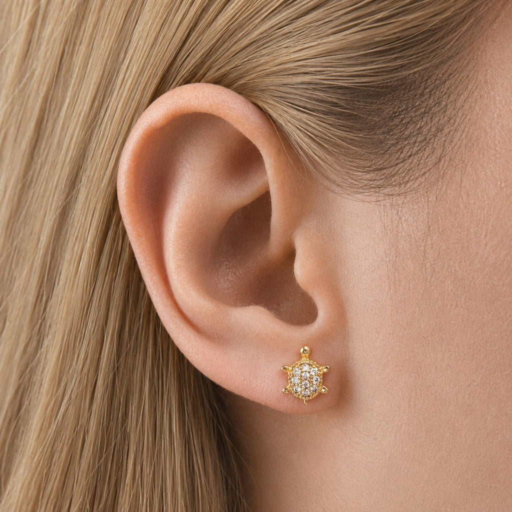 Coastal Shell Studs