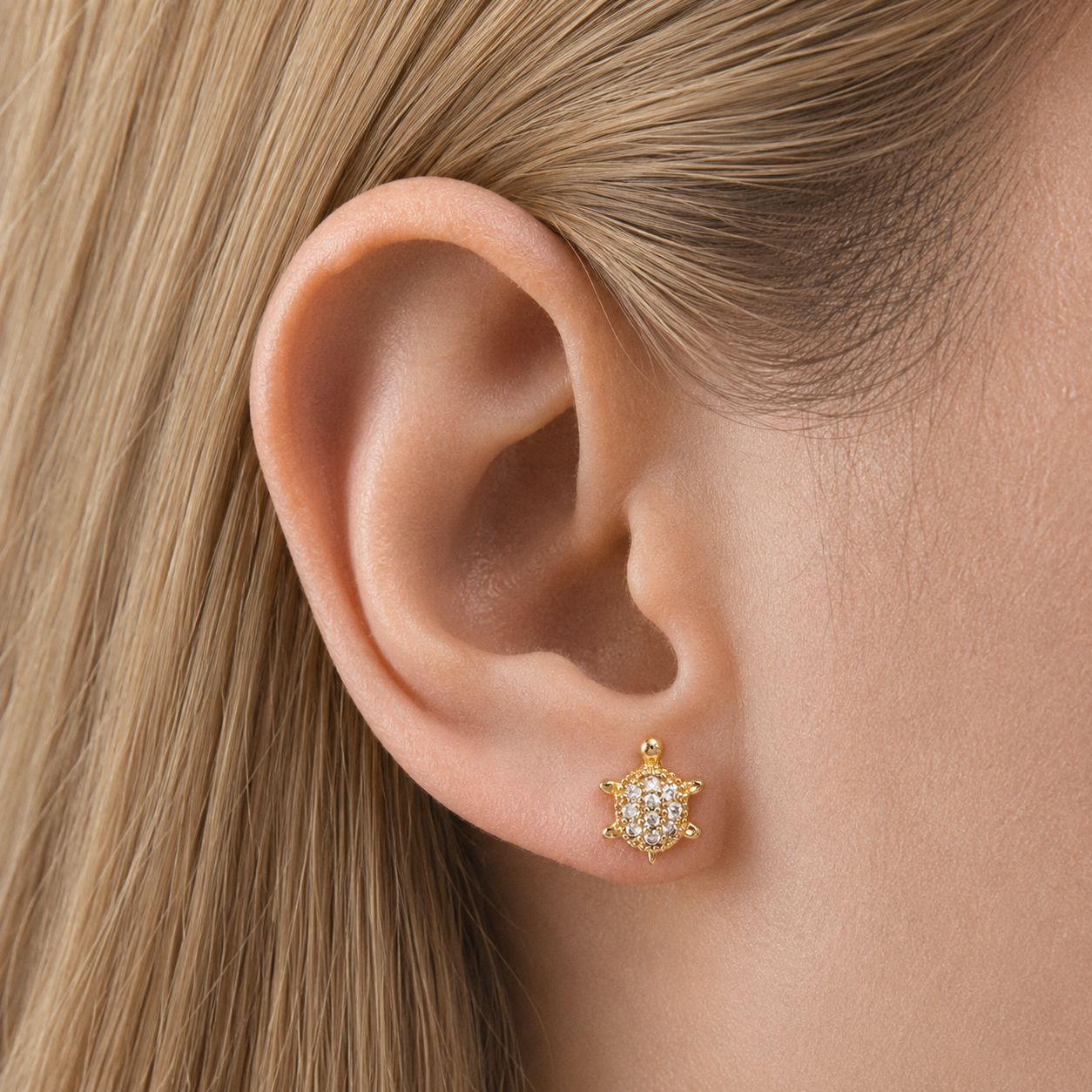Coastal Shell Studs